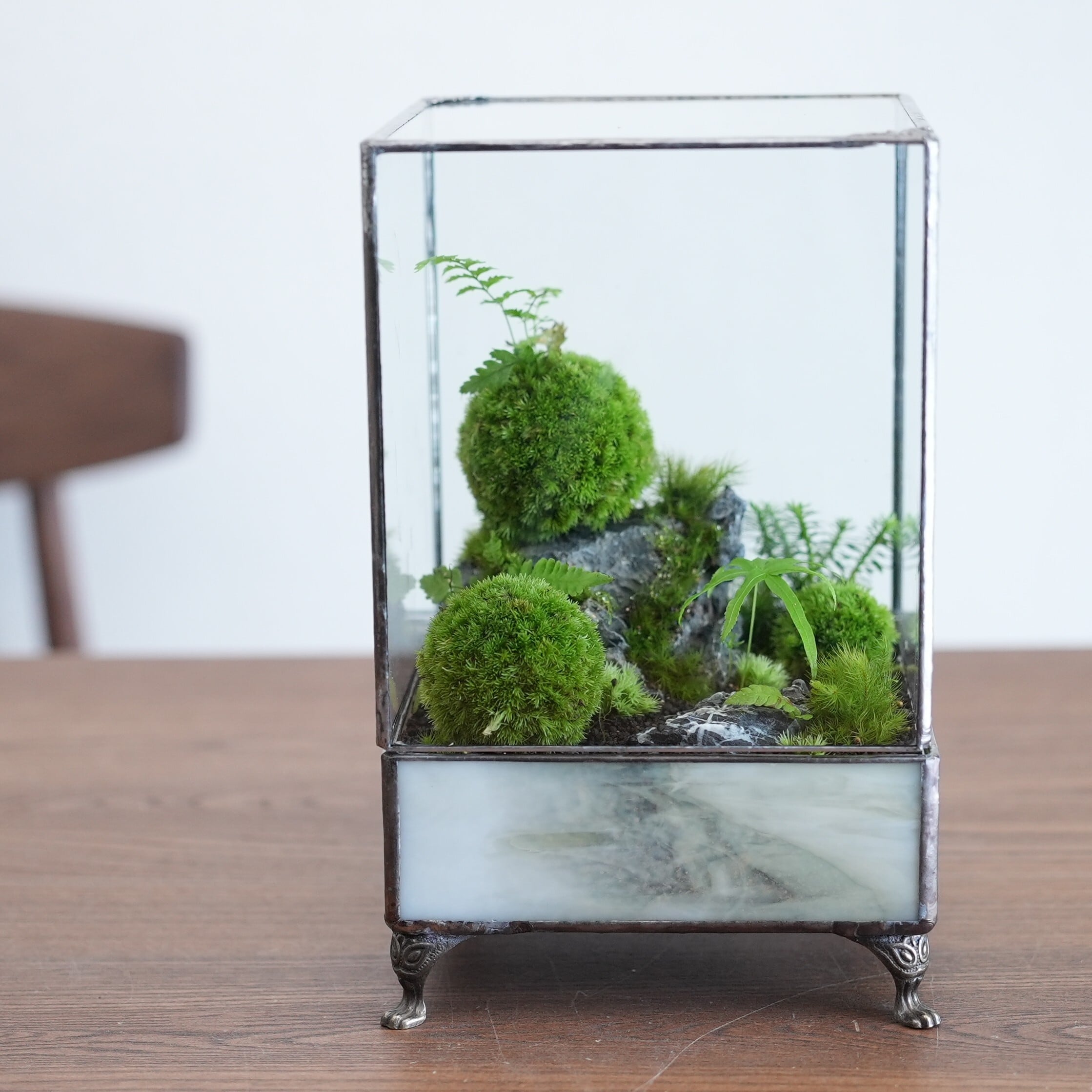 苔玉のある風景ポートレートワーディアンケース◆限定作品 7.15#1