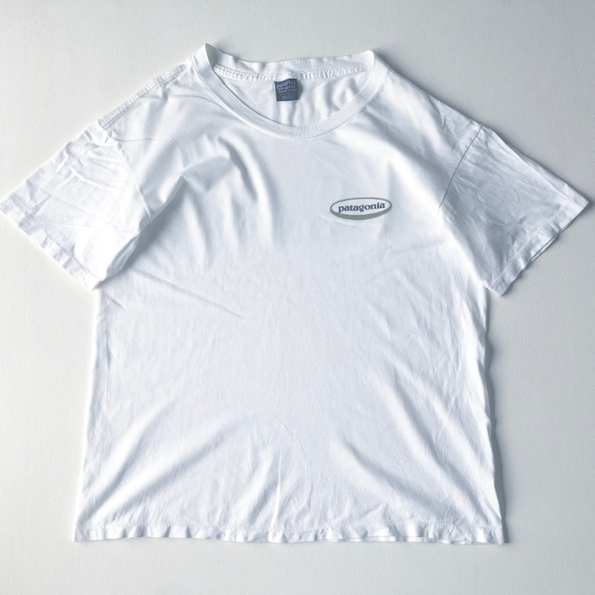 90s USA製 パタゴニア Tシャツ オーバル山ロゴ 表記(M) | niche (ニッチ)