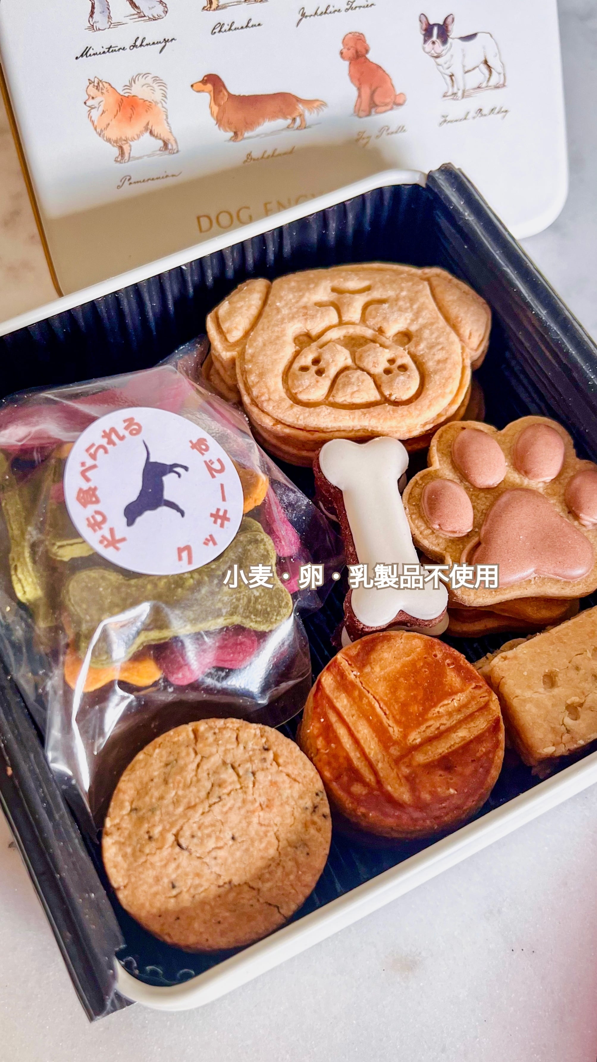 リニューアル!! 選んでわんちゃん缶【犬も食べられるクッキー】と