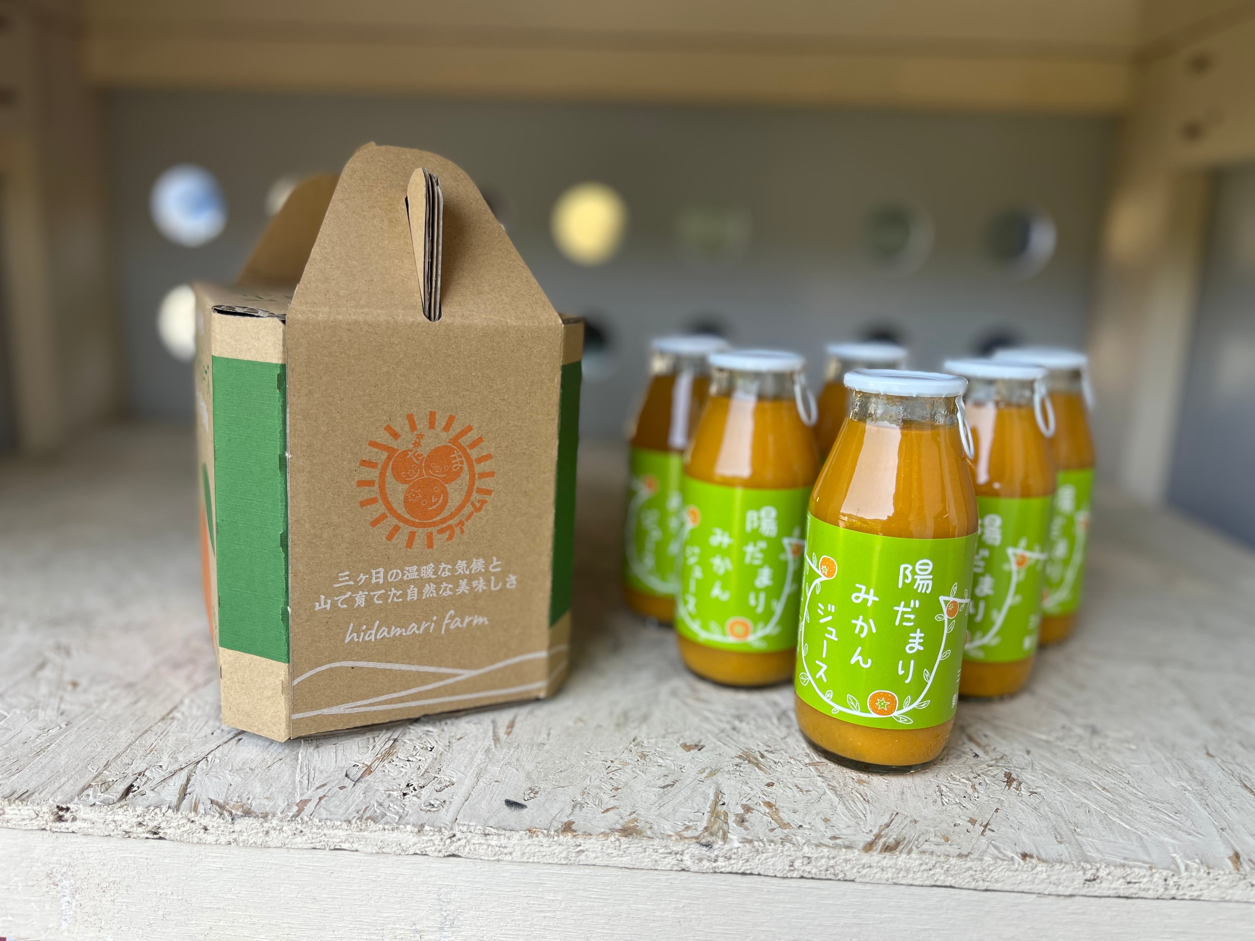 手提げ箱入り 三ヶ日青島みかんジュース ストレート100％（180ml×6本