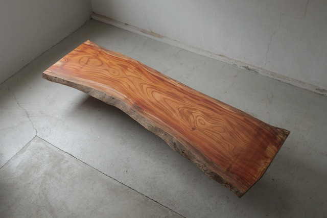 欅　Zelkova