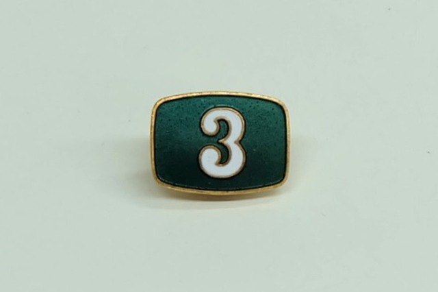 クラスバッチ　緑3　旧天白中