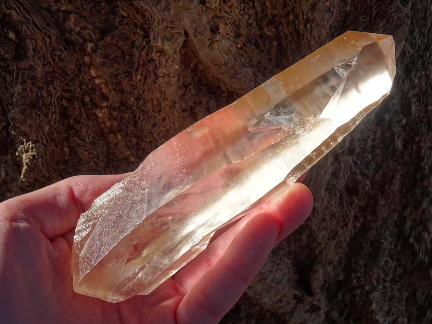 レムリアンシード「グレートサン」~ Master of the Lemurian Sun