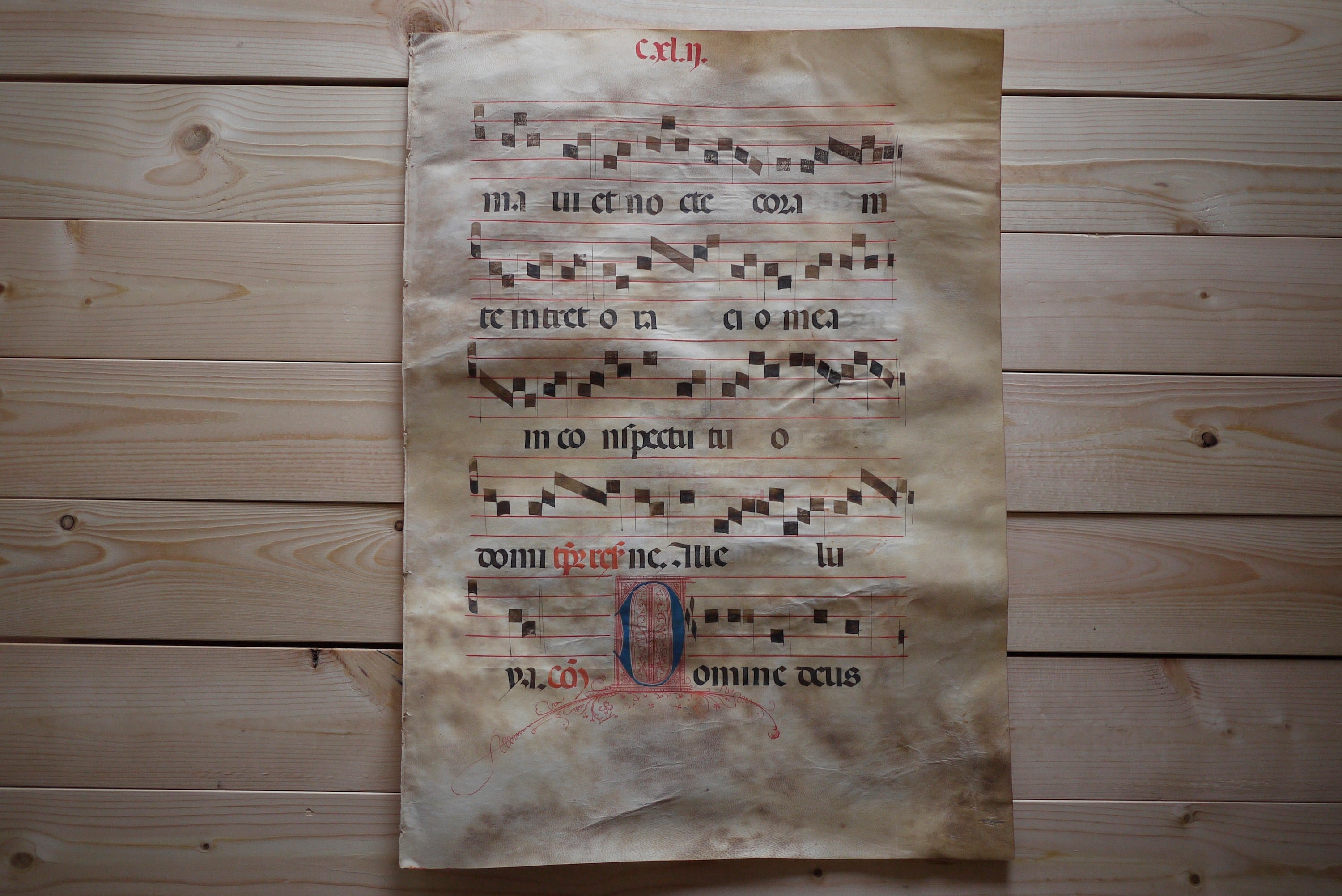 16世紀 ベラムに記されたグレゴリオ聖歌 ネウマ譜Ⅲ