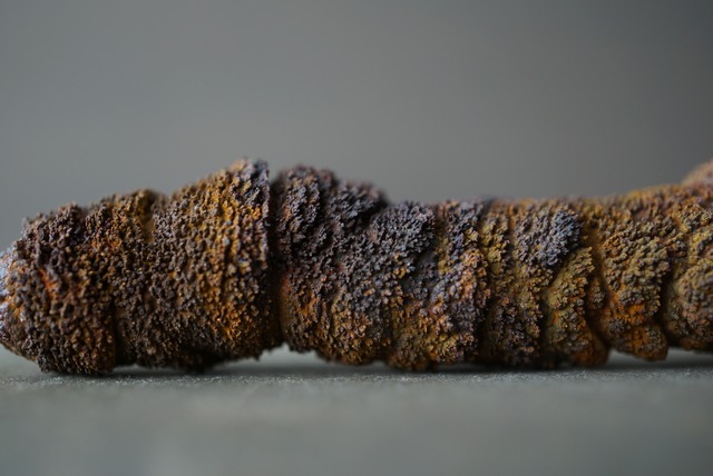 リモナイト Goethite var. Limonite 1553