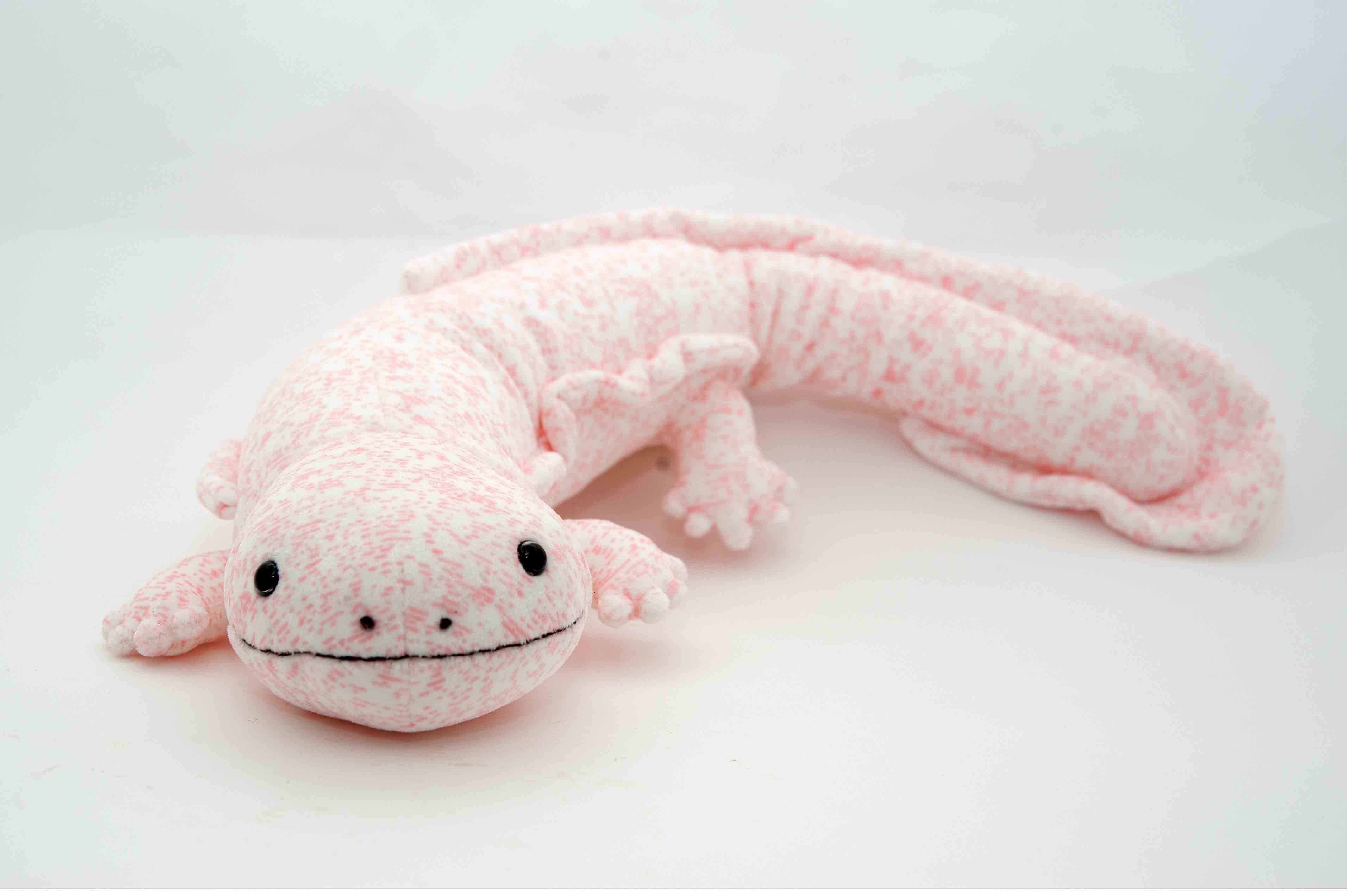 afe991ff10fa32ad997f68d28aeb9a