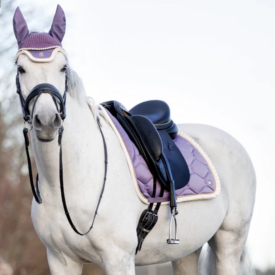 馬術 乗馬用品 EQUESTRIAN STOCKHOLMプロテクター オレンジの 馬術 乗馬用品 EQUESTRIAN STOCKHOLMプロテクター オレンジの