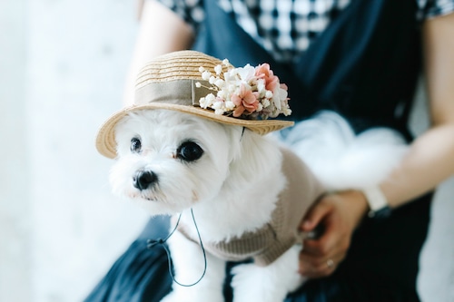 【送料込み】わんこのカンカン帽（pink flower）