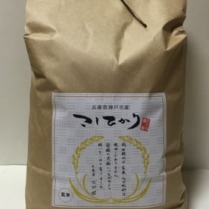 こしひかり玄米5kg　令和3年産新米・無農薬栽培　taicoya