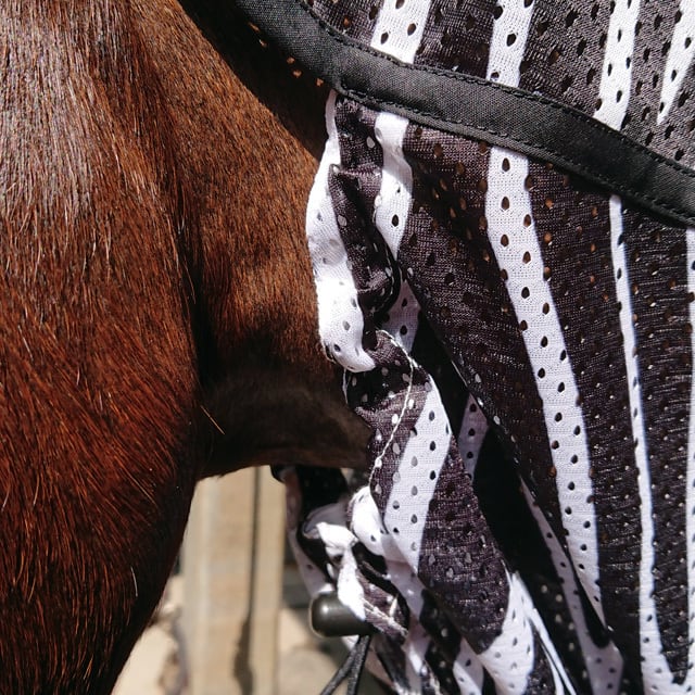 F.A.ネックガード ゼブラ -Fly Armor Neck Guard / Zebra- | Neigh Factory