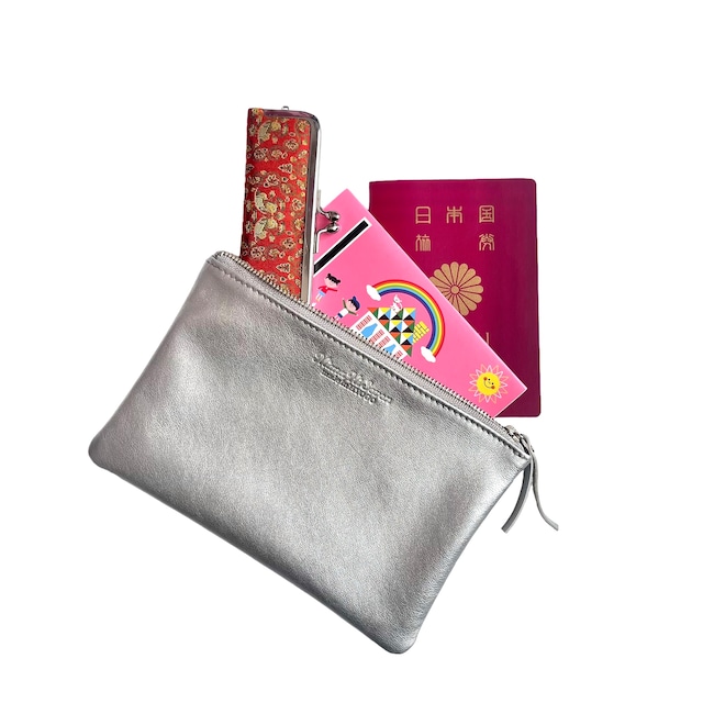 Sable Pouch / silver ポーチ バッグ カバン おしゃれ かわいい
