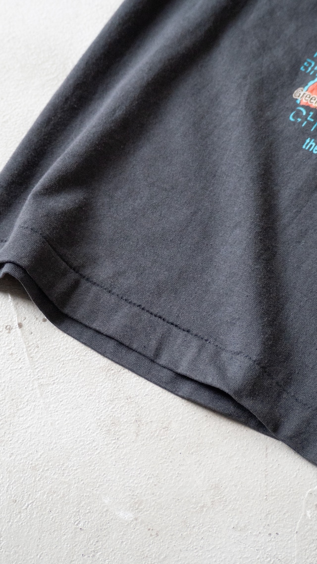 unknown 1990s Little turtle t-shirt