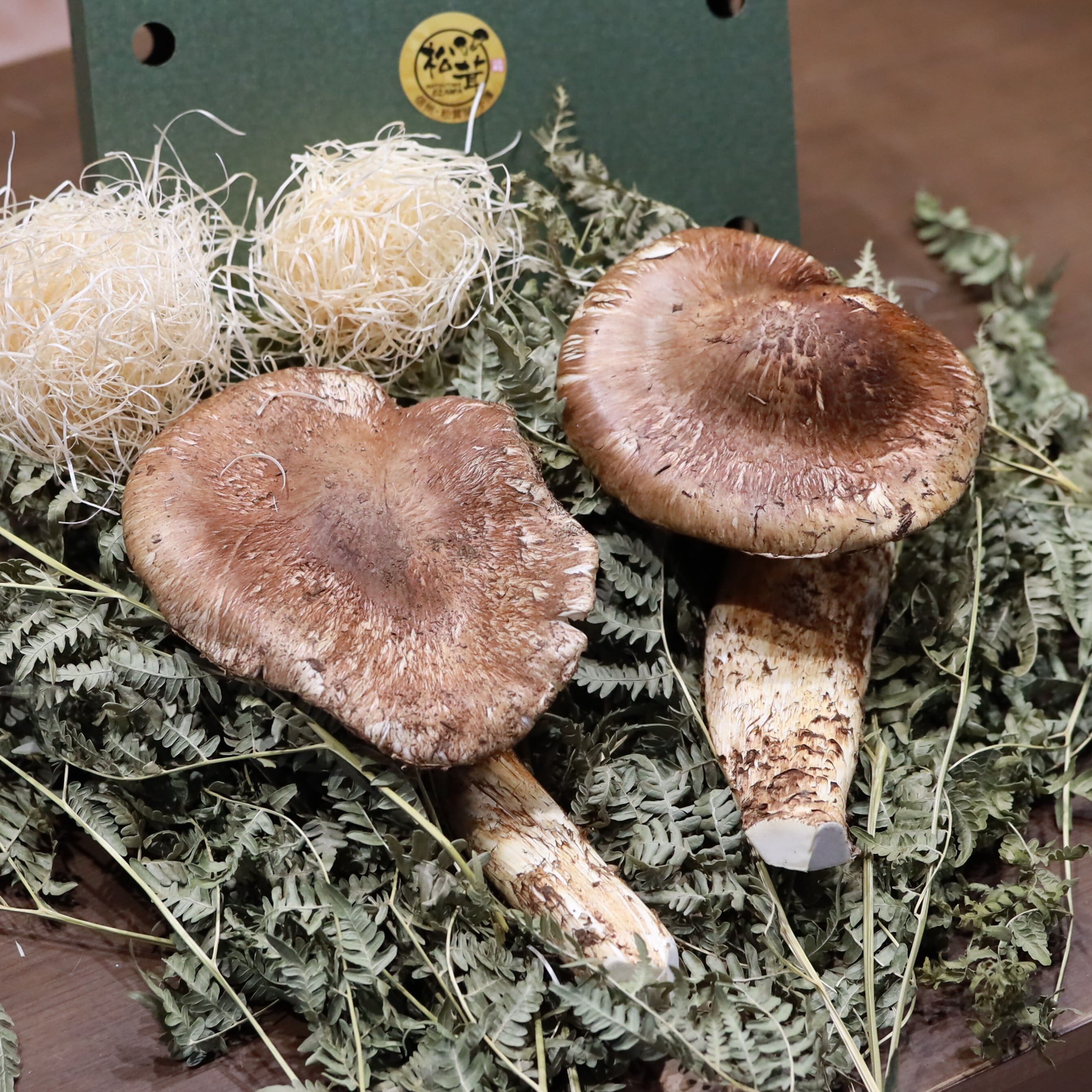 シーズン限定品 【ひらき松茸 ソリ】 450g