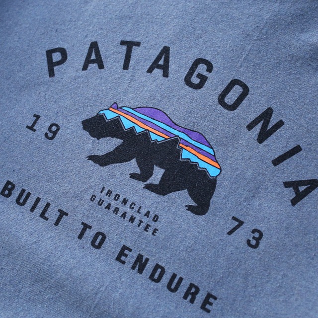 "old patagonia" logo print casual sweat