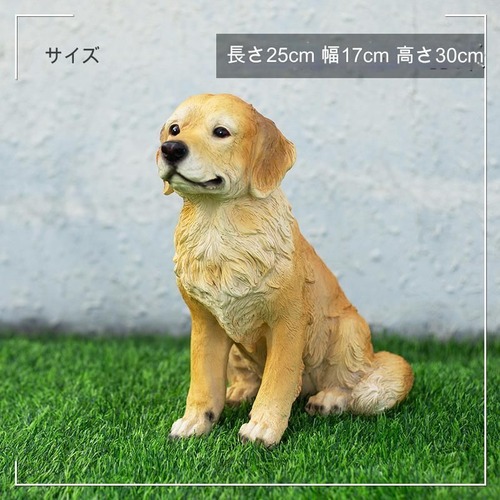 犬 置物 柴犬 ゴールデンレトリバー オーナメント ガーデン ガーデニング 庭 庭園 リビング