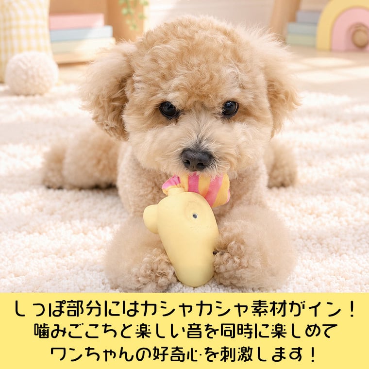 pastel long animal latex toy 3color / ペット 犬 おもちゃ 噛む カシャカシャ 音が鳴る 知育玩具 鳴き笛入り 可愛い わんちゃん おもちゃ ラテックス トイ ストレス解消 韓国 ペット用品 小型犬 toy