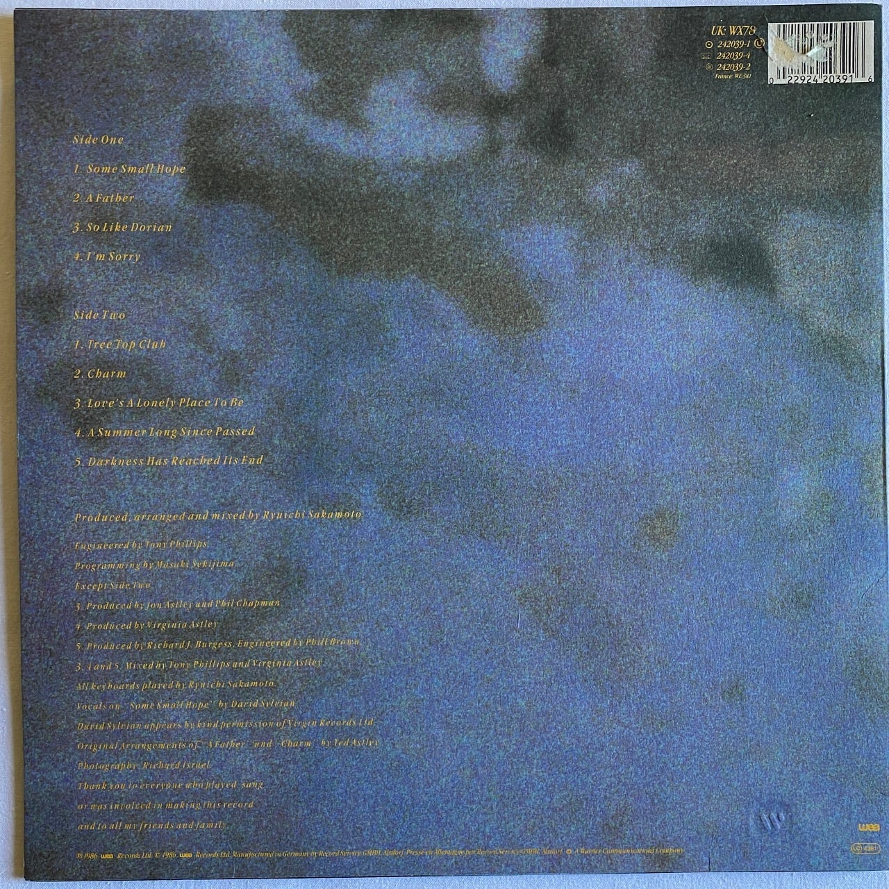 LP】Virginia Astley – Hope in a Darkened Heart | マメシバレコード