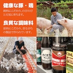 毎月お届け【定期便】　送料無料！6食セット（冷凍）ととのう弁当（6種類×各1食）