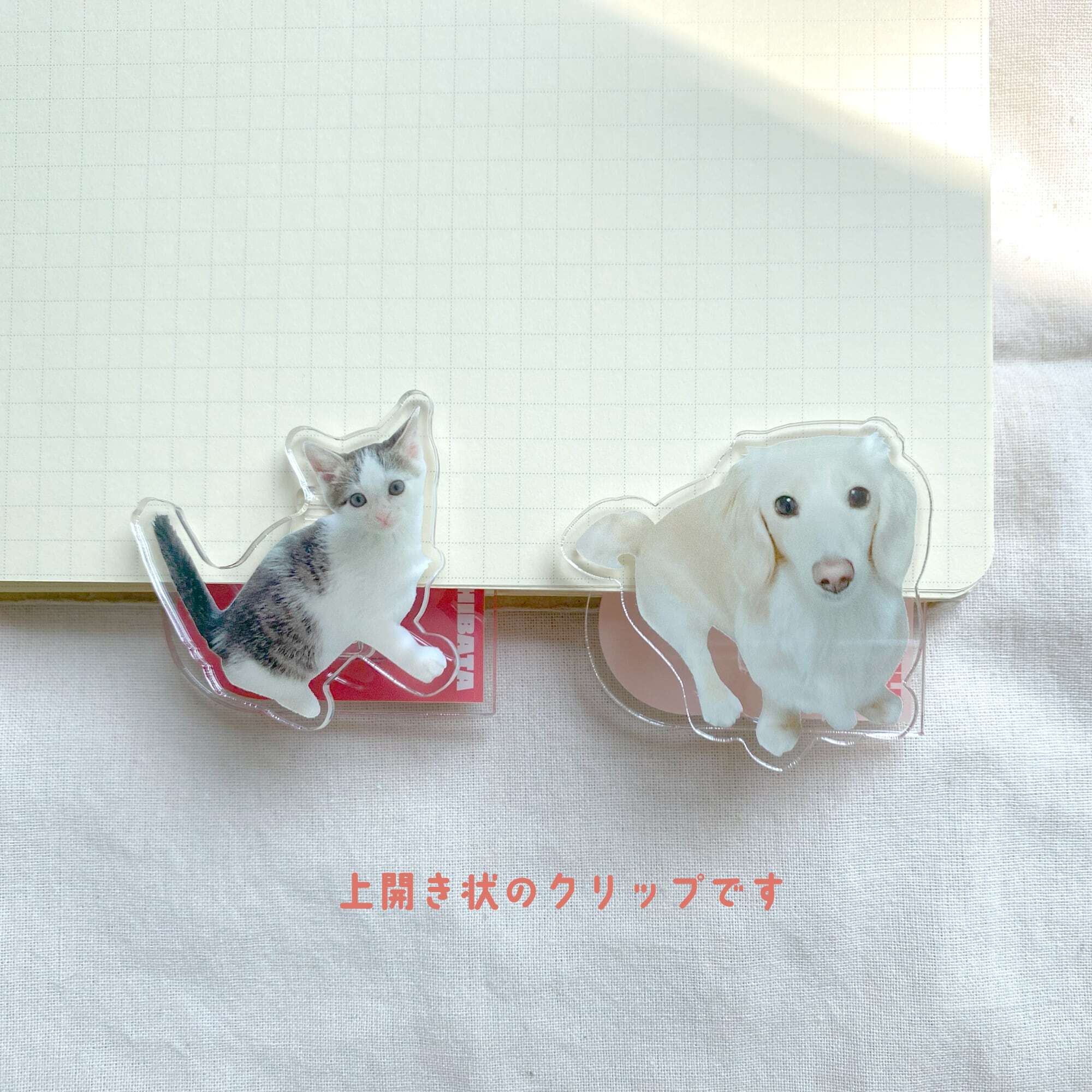 アクリルクリップ 50mm｜写真入り 名入れ｜うちの子 ペット グッズ