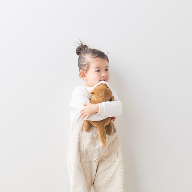 おねむクッション コツメカワウソ(Sサイズ)