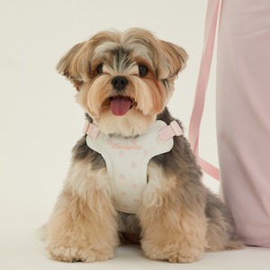 【予約】[ thesallyslaw ] Bailey cushioning harness｜Strawberry Blush