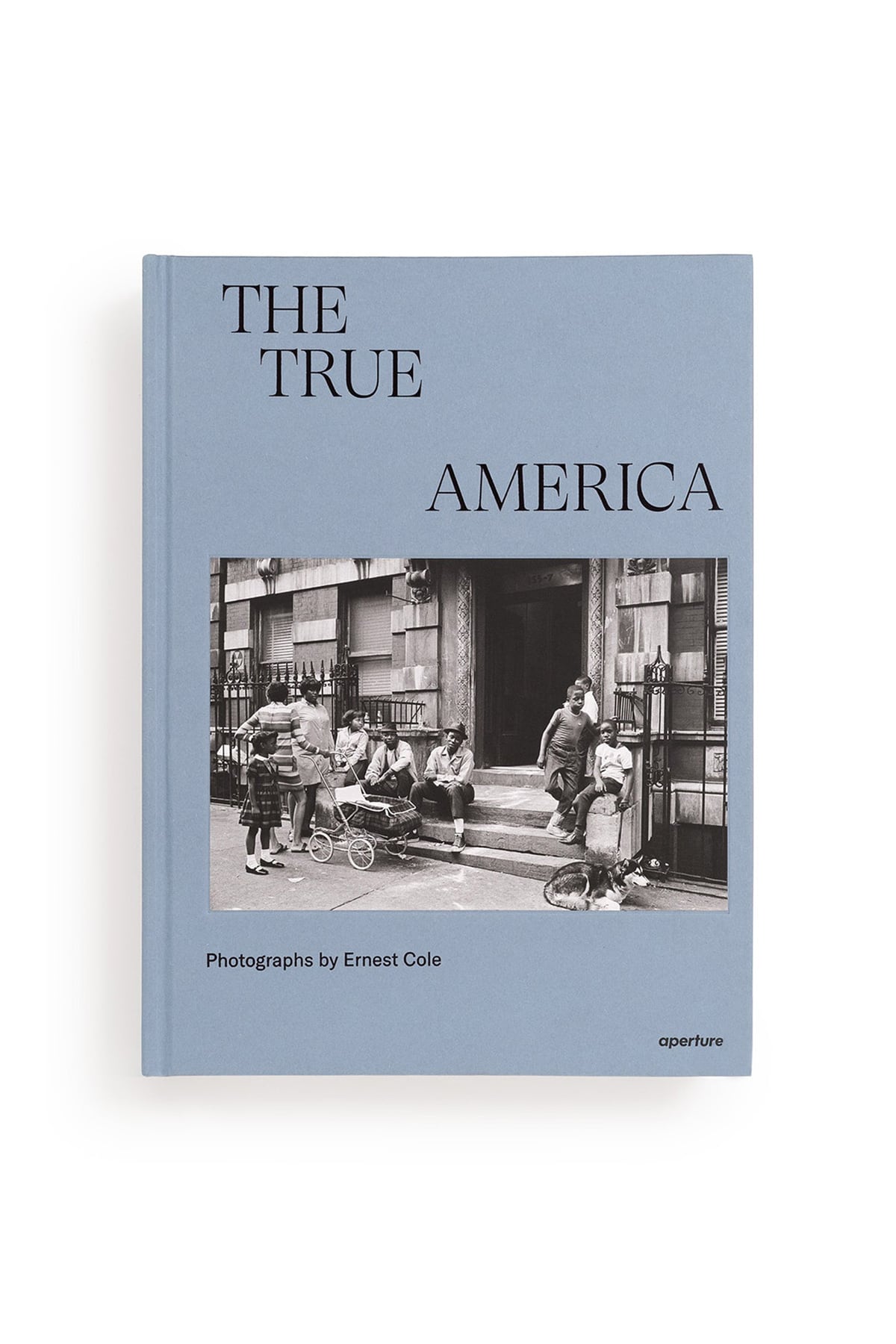 AB004】THE TRUE AMERICA by Ernest Cole | The Landscapers