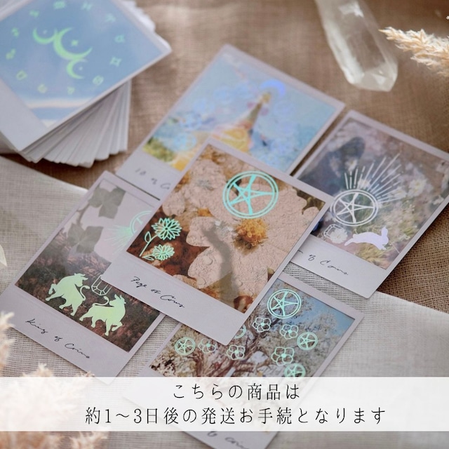 【約1〜3日以内の発送お手続き】リニューアルしました✳︎WILD LANDS TAROT CARDS ◆ 惑星の守護 光と共に