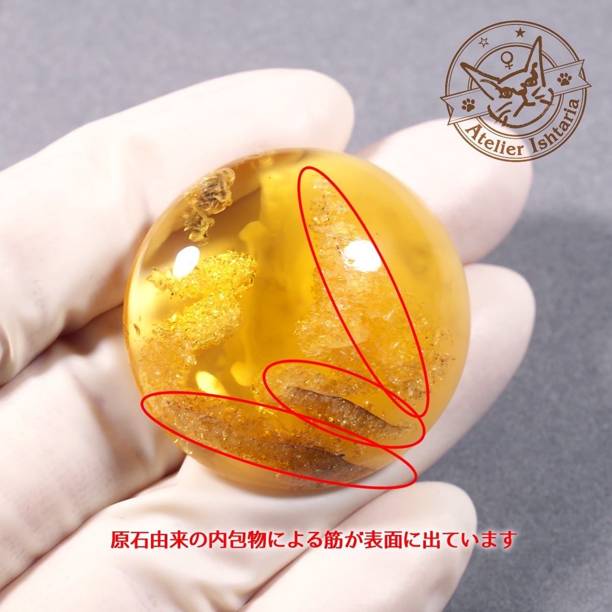 バルティックアンバー 05【ポーランド(バルト海)産】／オーバル(ほぼ