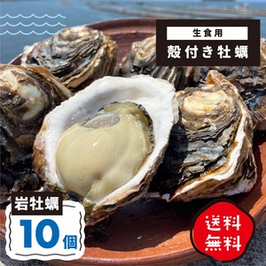 送料込！岩牡蠣（殻付き）生食用 10個