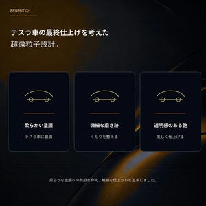 Specular オリジナル コンパウンド iZA TS2 300ml テスラ専用 仕上げ用 超々微粒子