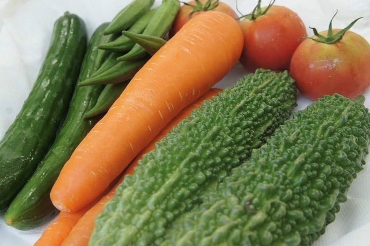 【テイクアウト直接受取用】沖縄県産おまかせ野菜セット〈野菜5~7種類(2~3人向け)〉