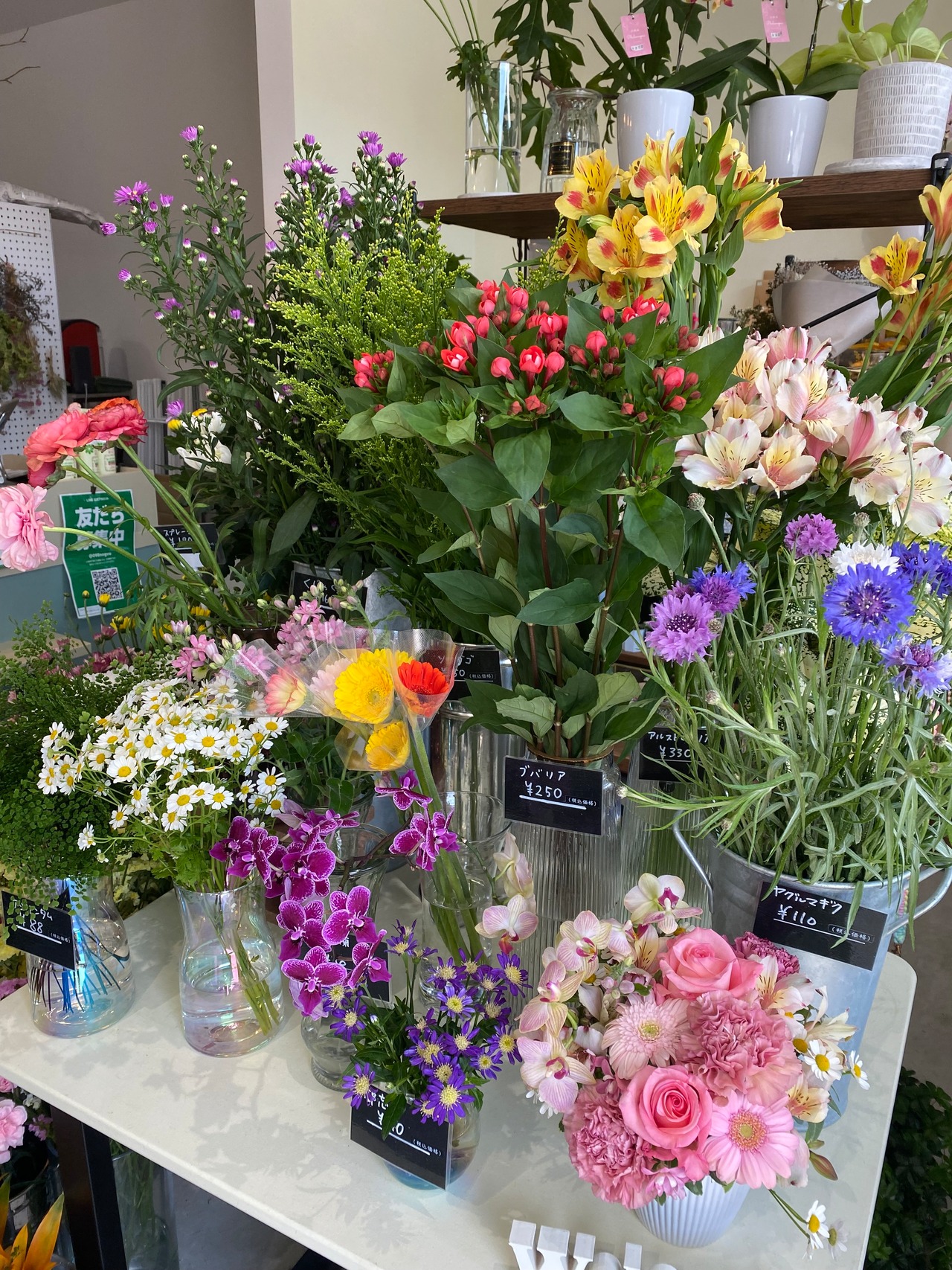 お花のある暮らしを応援!!『お得な定期便フラワー』・画像4