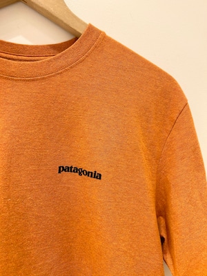 Tshirts / Patagonia