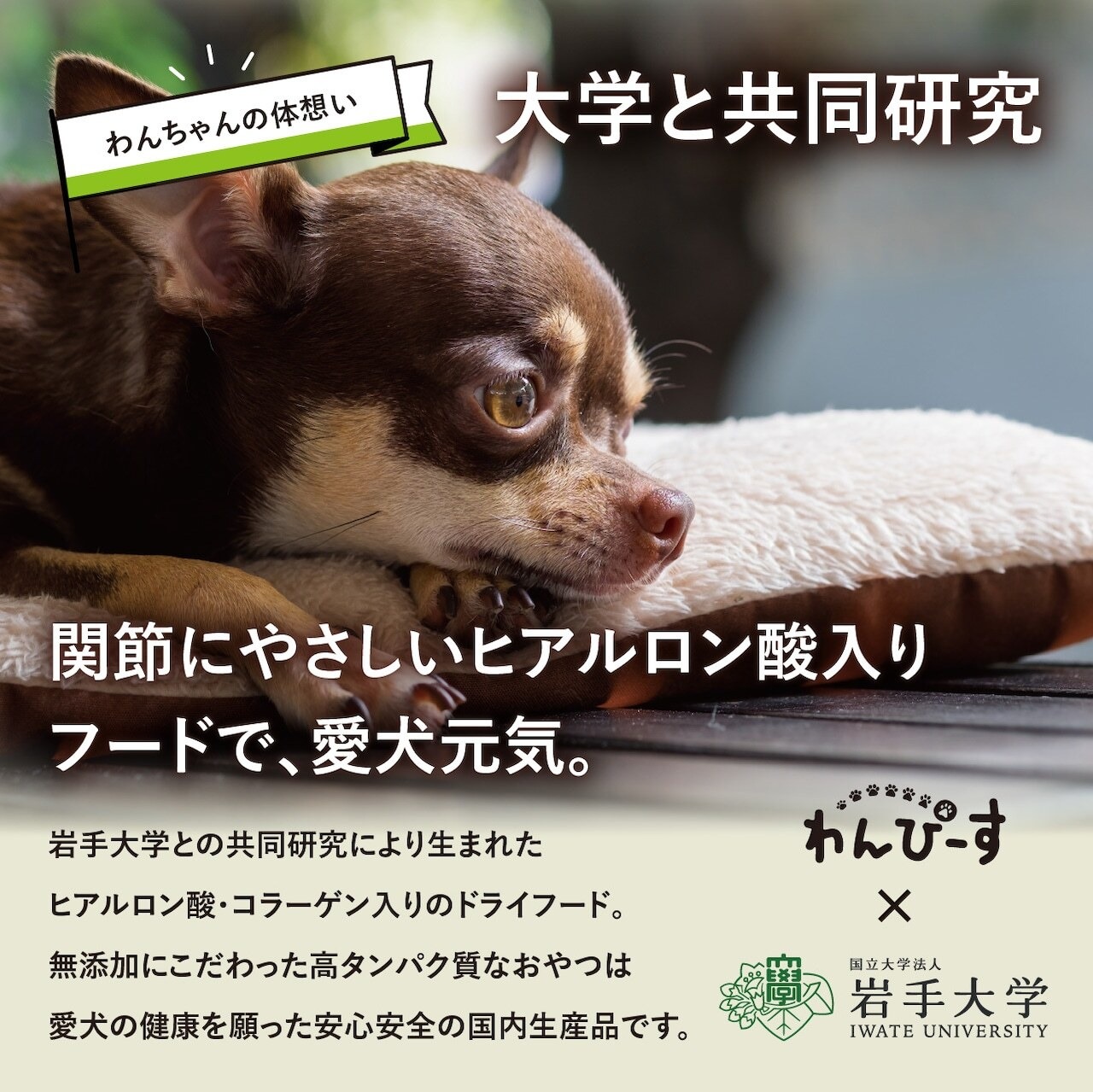 〈ギフトボックス〉ドライフード　3種セット
