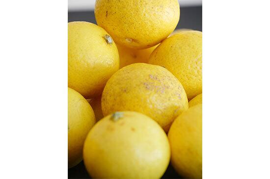 【程よい甘さ】湘南ゴールド・500g(3/20発送開始)