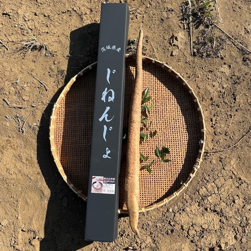 満点自然薯 化粧箱入り 約800g | NIIZEKI foodservice