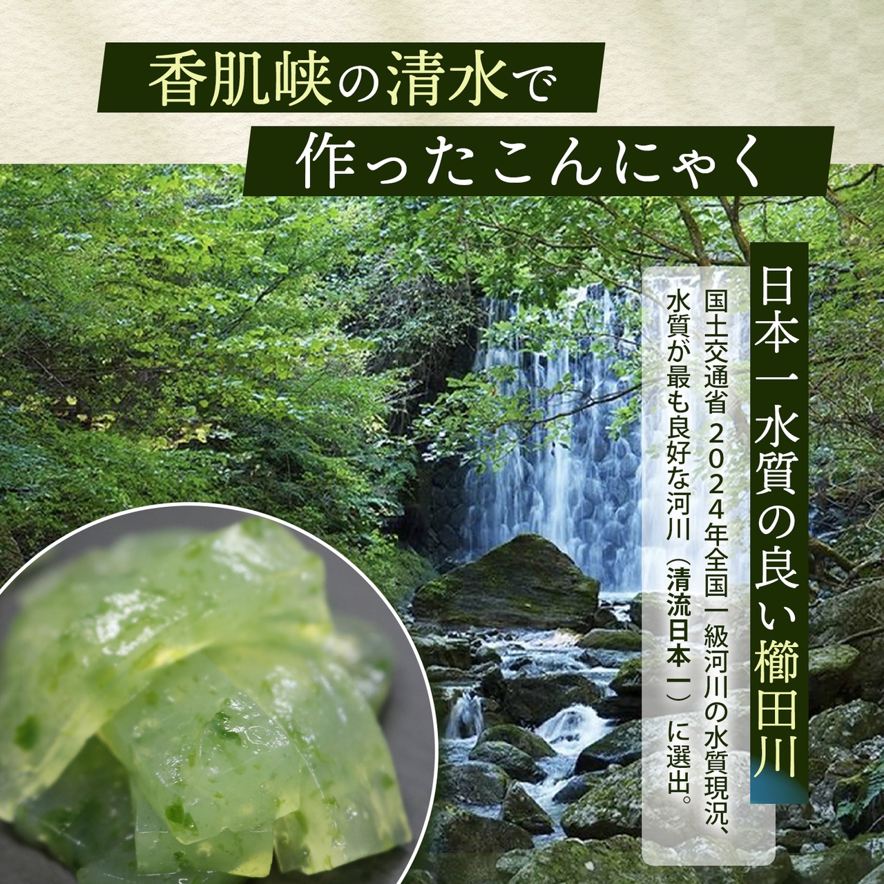 香肌峡清水 こんにゃく ぷるん 新食感 刺身こんにゃく グルコマンナン200g x 6個/箱