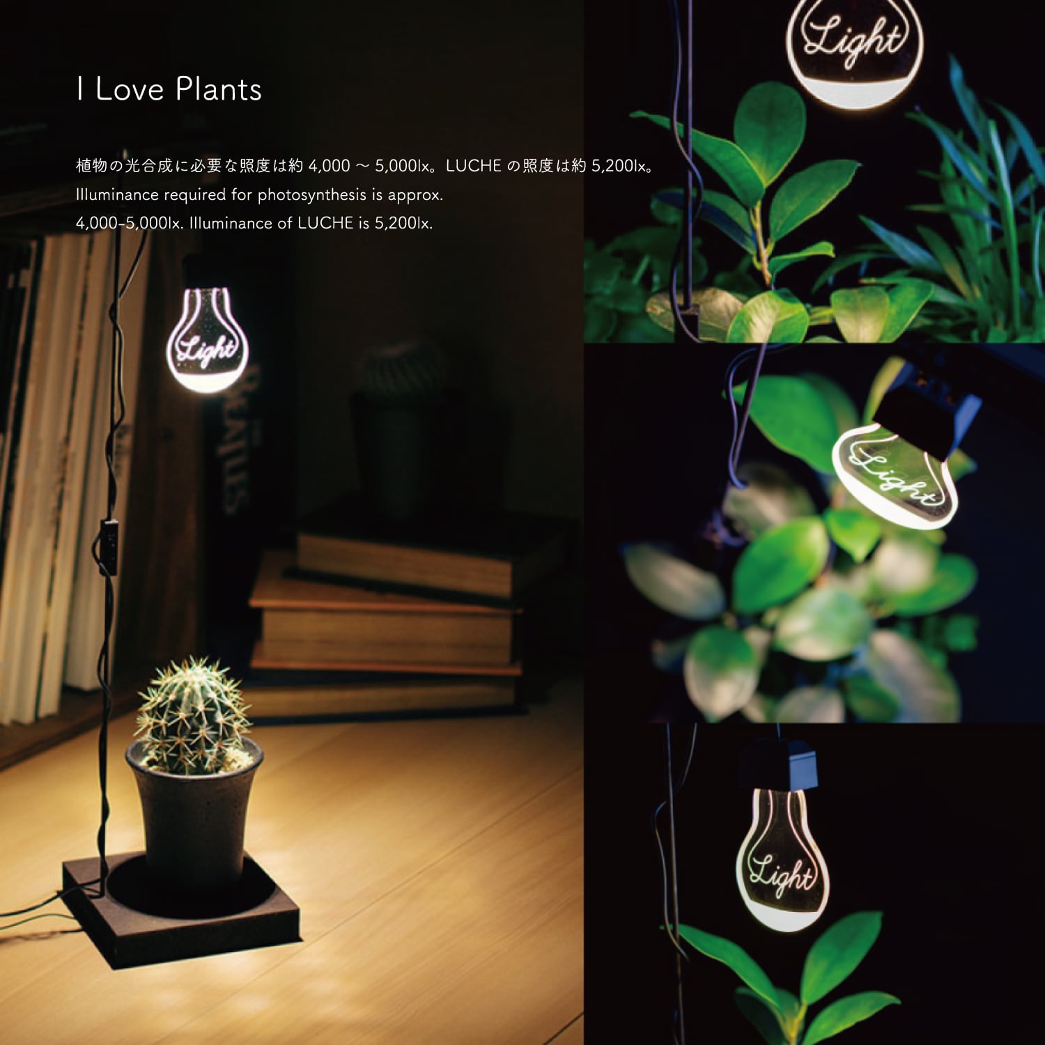 植物がよく育つライト　ルーチェ | LAND Lifestyle Shop powered by BASE