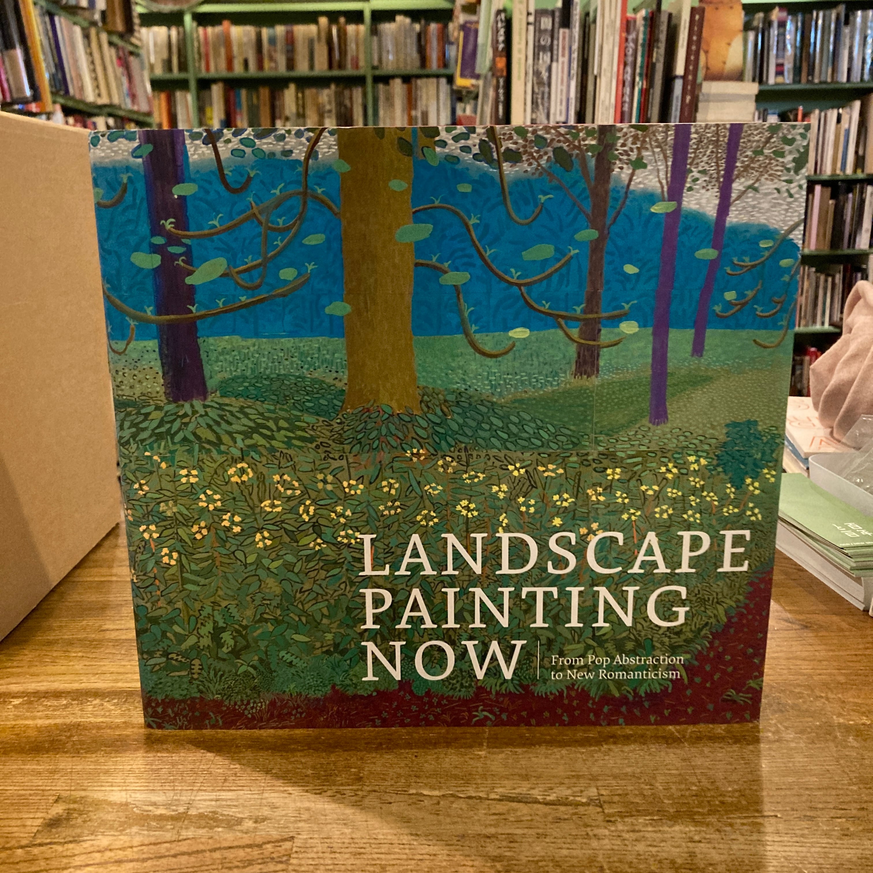 LANDSCAPE PAINTING NOW From Pop Abstraction to New Romanticism | 百年
