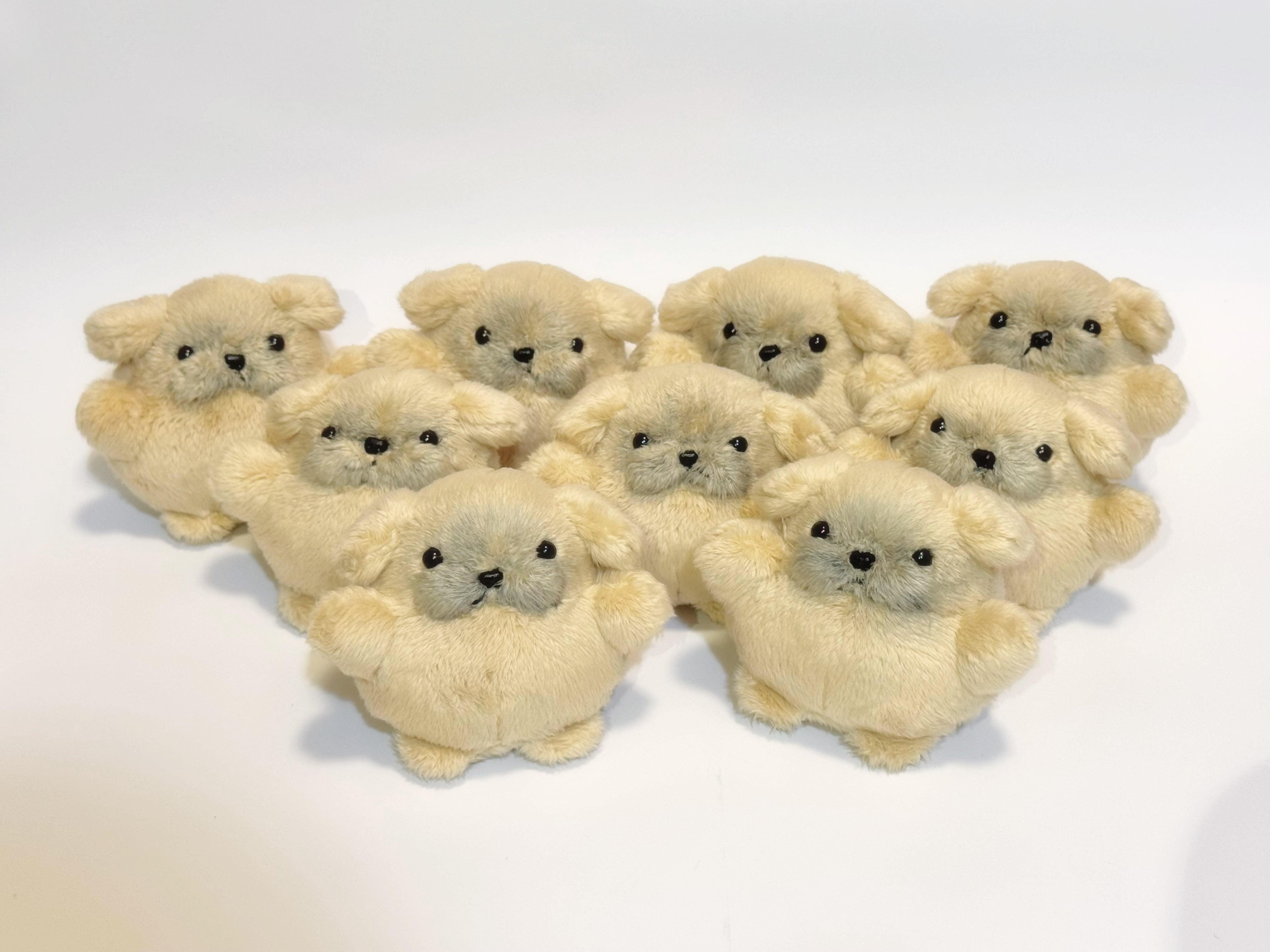 ALL ITEM | 犬道楽