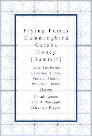 Flying Pumas Geisha Honey  HUMMINGBIRD [Summit]
