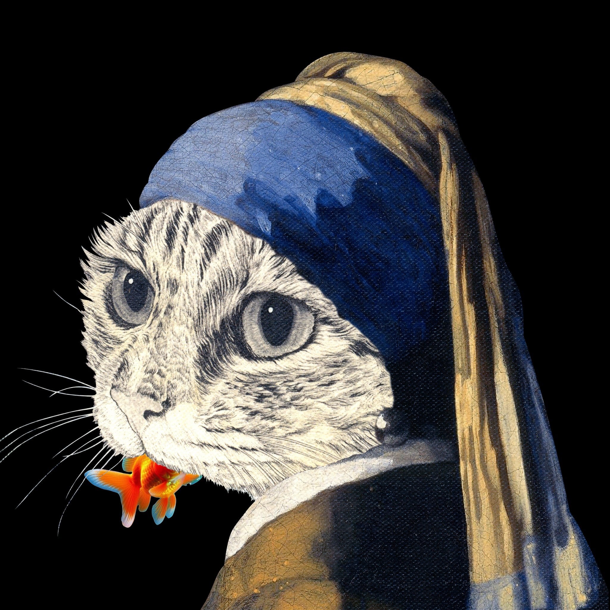 フェルメール猫 A4サイズ額装 (BLACK MAT EDITION) | フェルメール猫