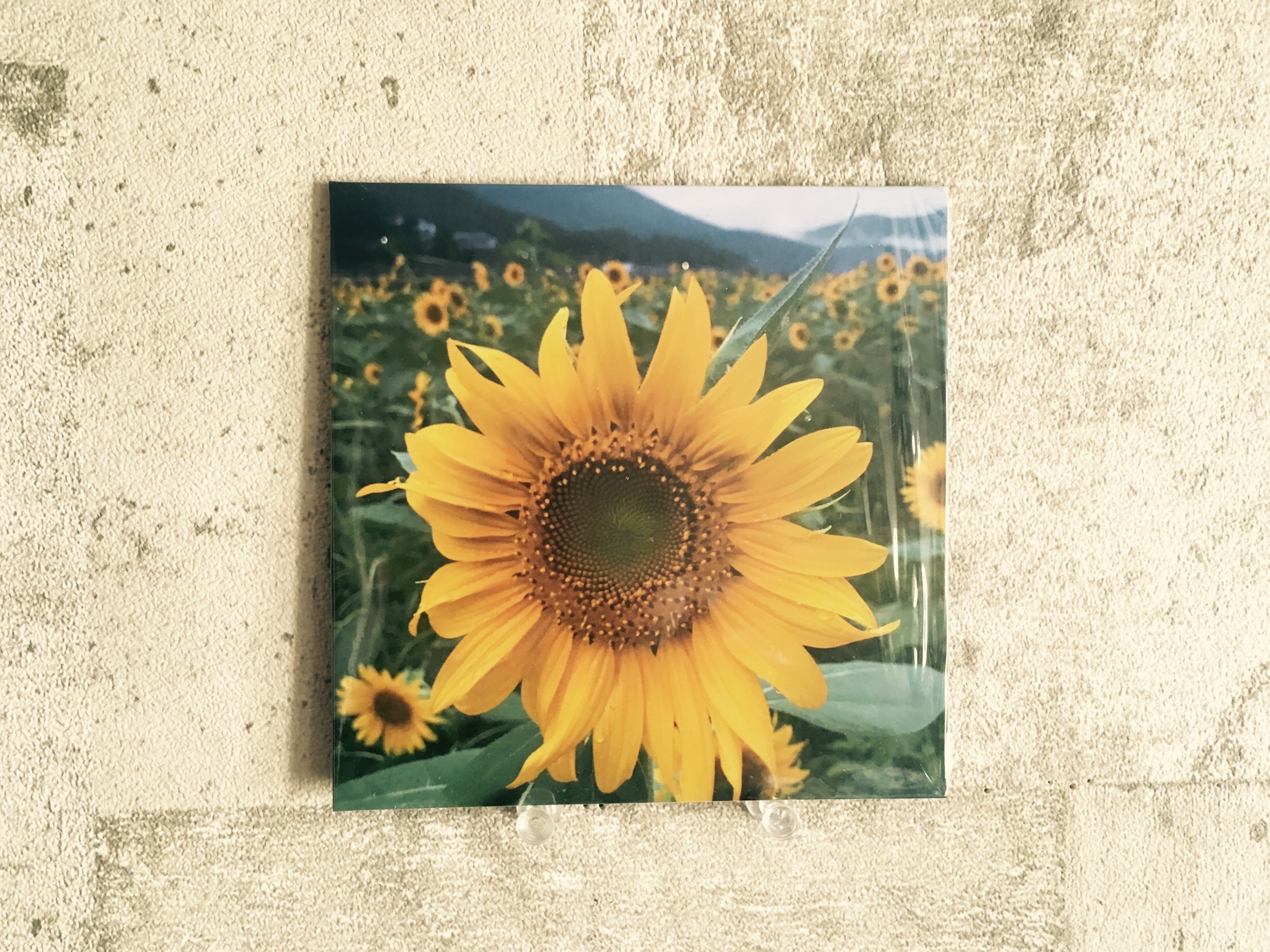 Hue's／Youth／How are you? Hue's / How are You? | HOLIDAY! RECORDS DISTRO