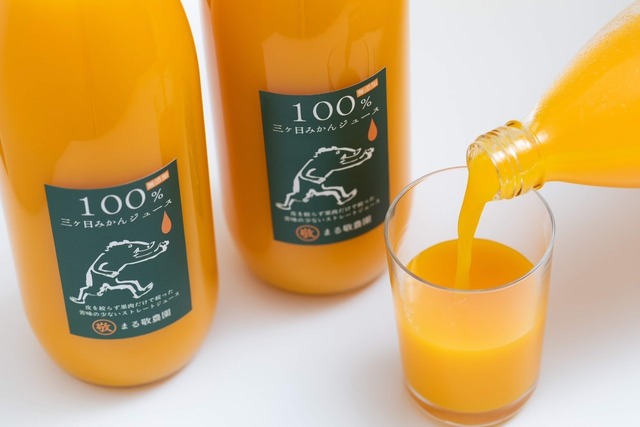 【静岡県三ヶ日町】100%三ヶ日完熟みかんジュース（2本セット）