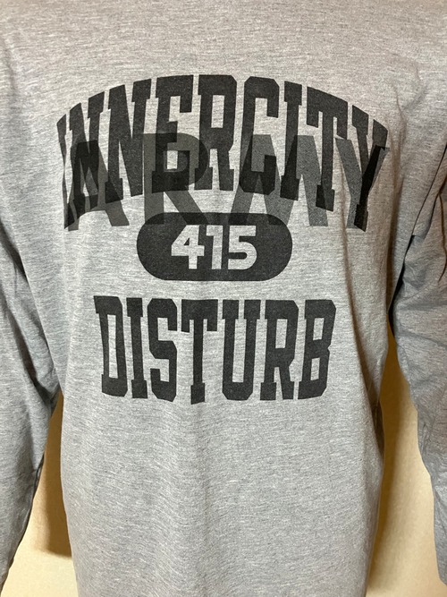 DEAD STOCK COLLEGE OVER PRINT US ARMY LONG SLEEVE T / INNERCITY 6