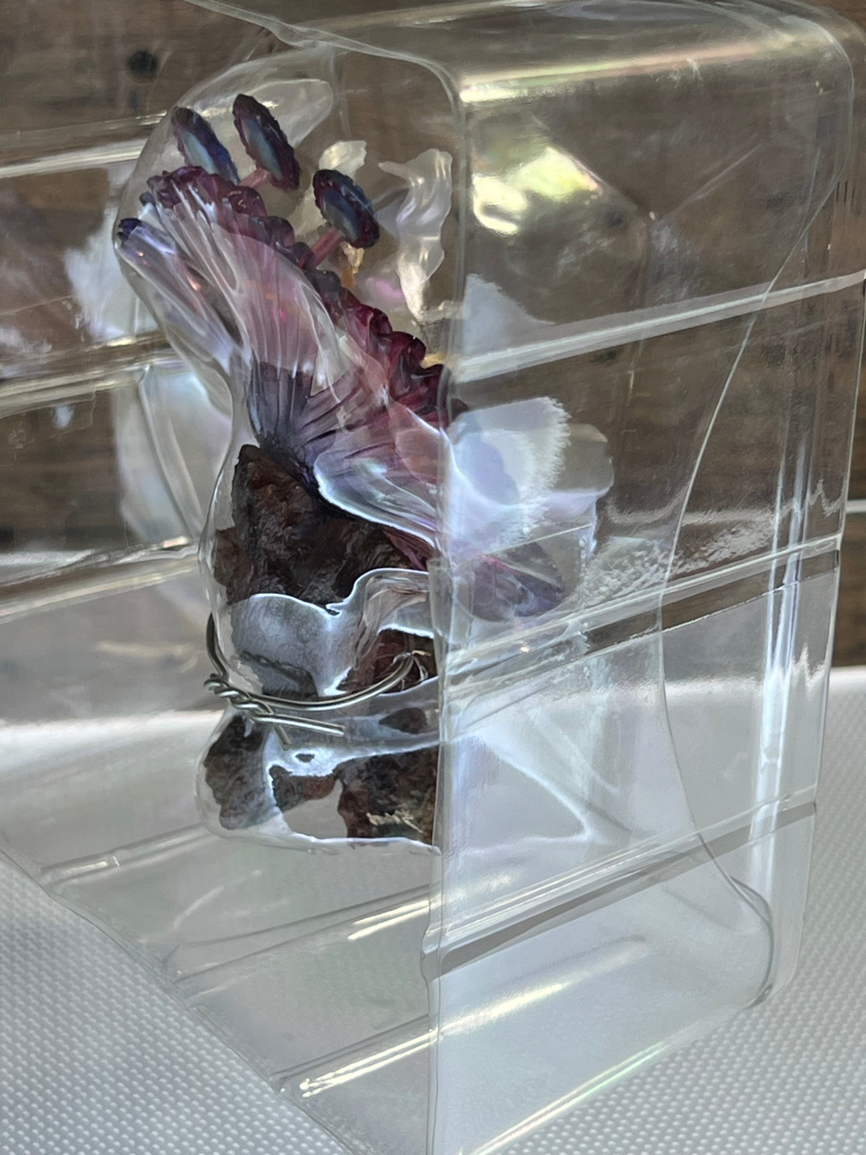 ホビージャパン FINAL FANTASY CREATURES FAN BOOK Vol.2(ファイナル