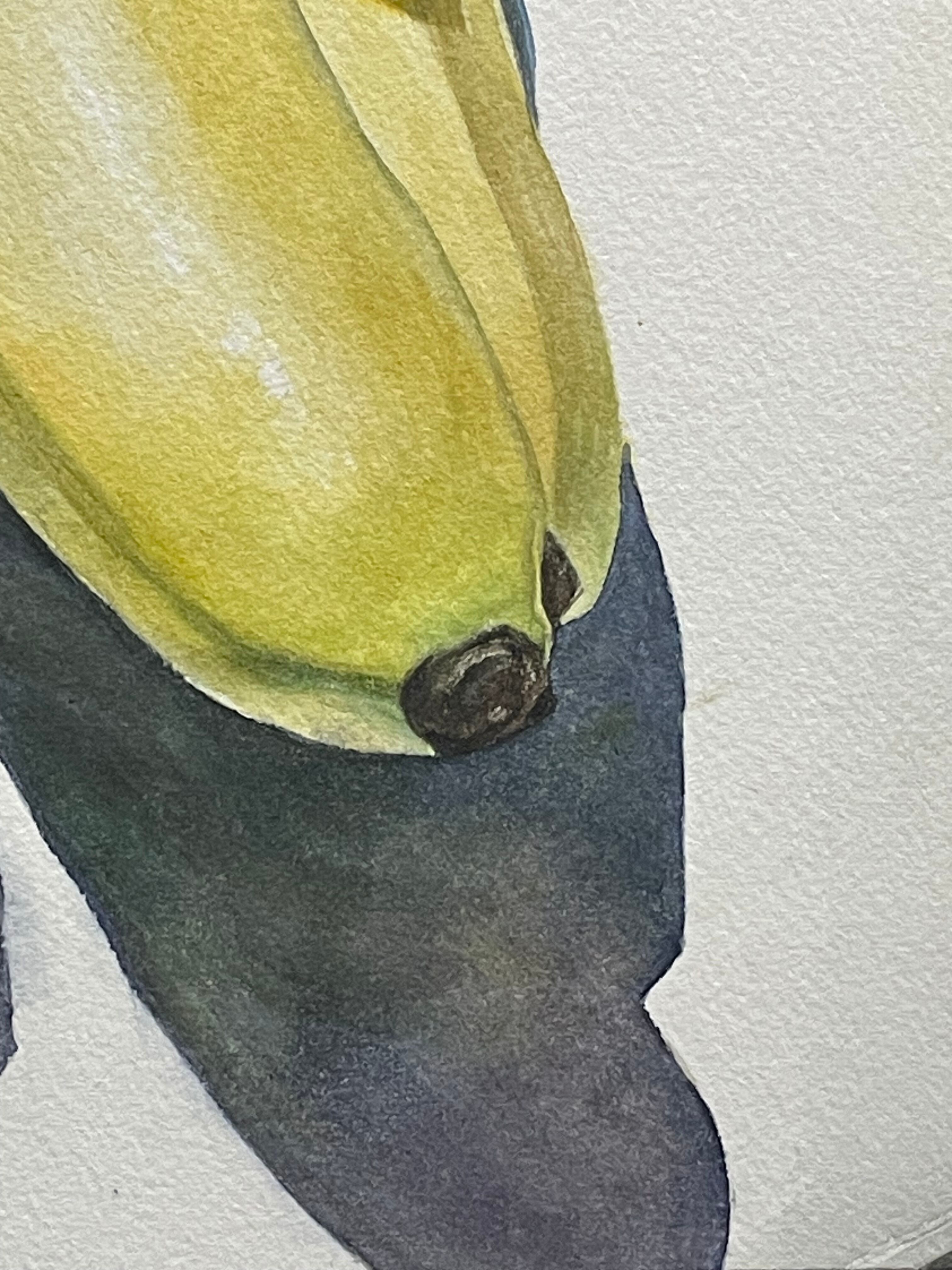 F4透明水彩画「バナナ」 | 絵楽人（辻匠）