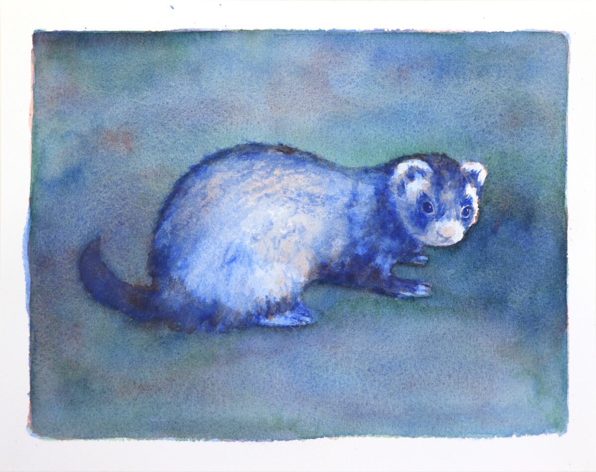 松山賢 絵画・陶彫・土器 MATSUYAMA Ken