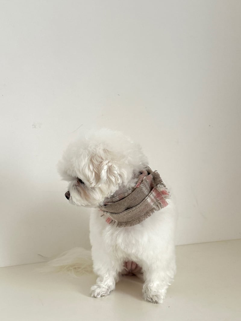 〈予約アイテム〉EYOU / チェックマフラー – Pink