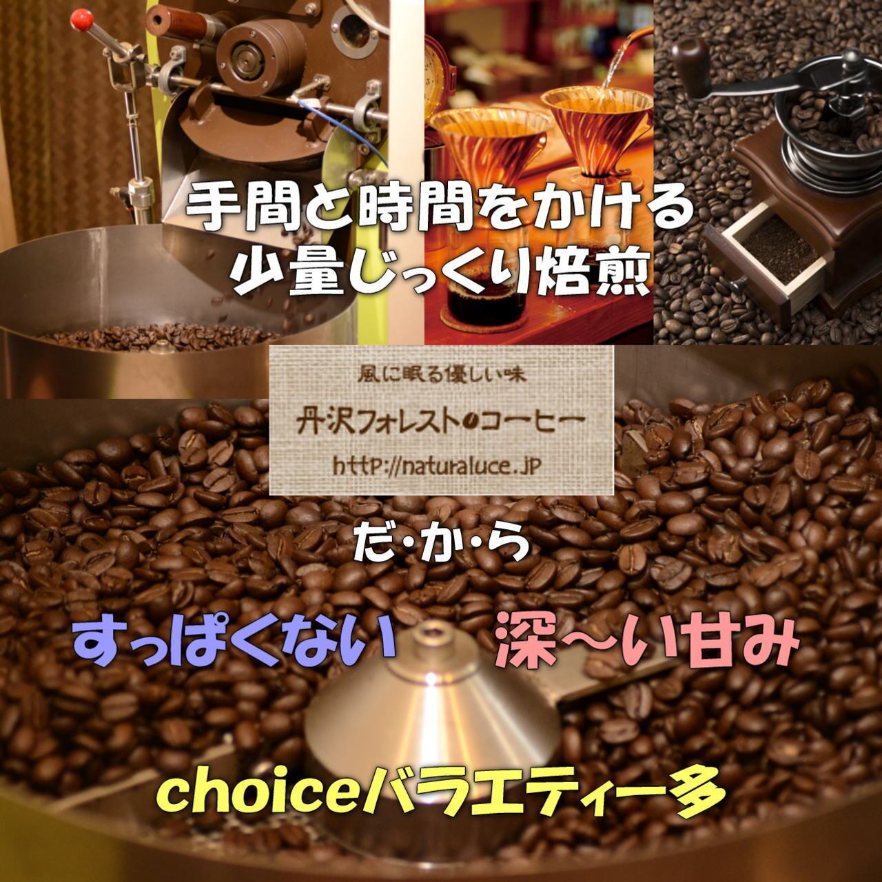 ブラジルパンタノ 豆200g 丹沢フォレスト珈琲 | naturaluce